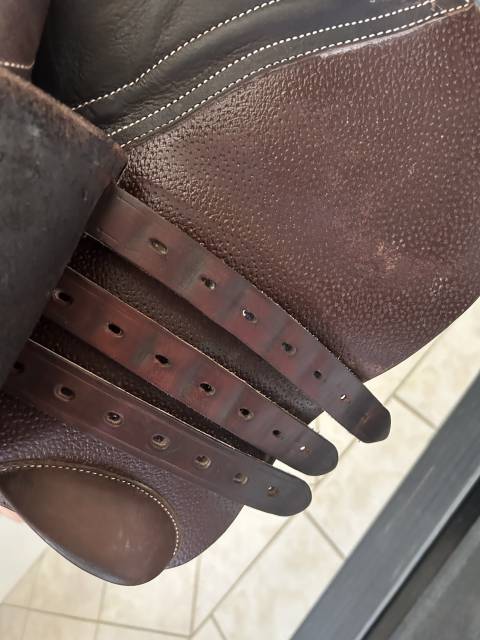 Sella da salto ostacoli Rebelle  15.5" - 2020