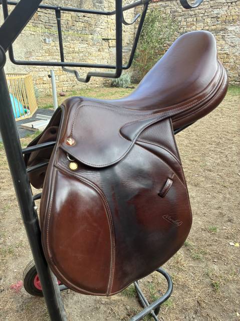 Sella da salto ostacoli Prestige Italia  17" - 2023