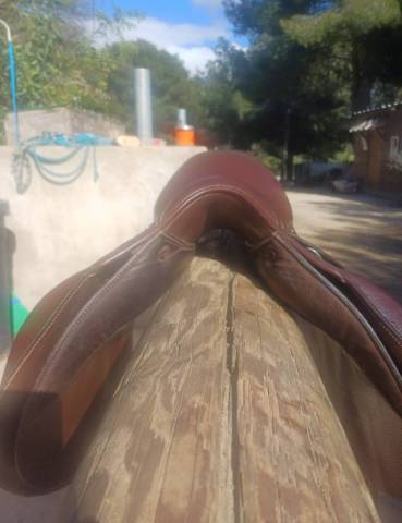Sella mista Forestier Club 17" - 2024