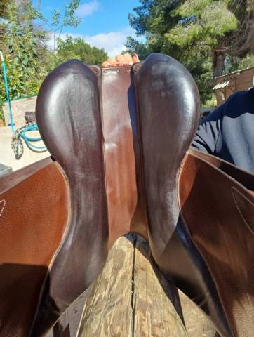 Sella mista Forestier Club 17" - 2024