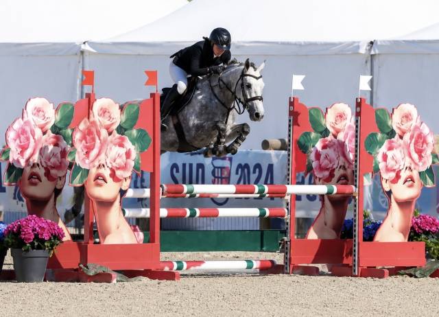 Cavalla PFS Pony Francese da Sella In vendita 2022 Grigio