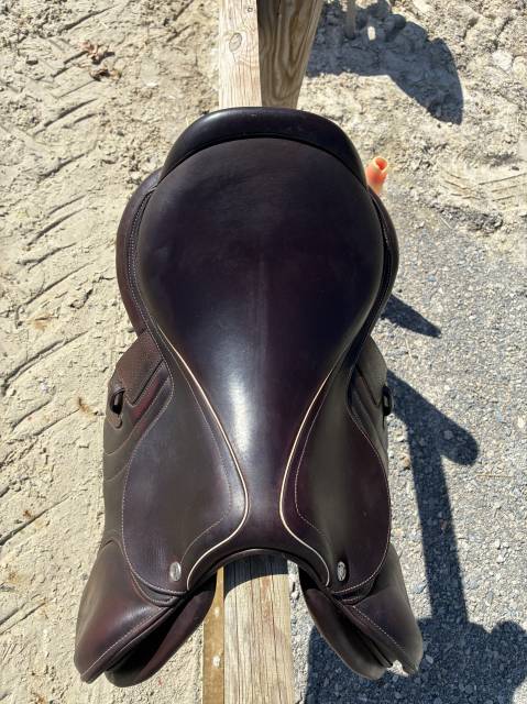 Sella da salto ostacoli CWD  17.5" - 2024