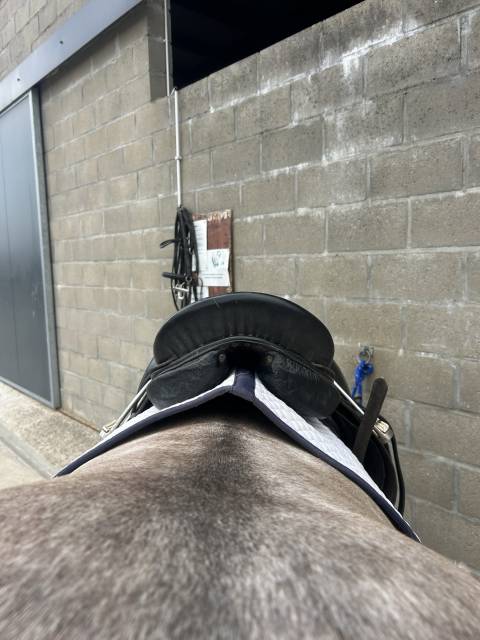 Sella da dressage   17.5" - 2010