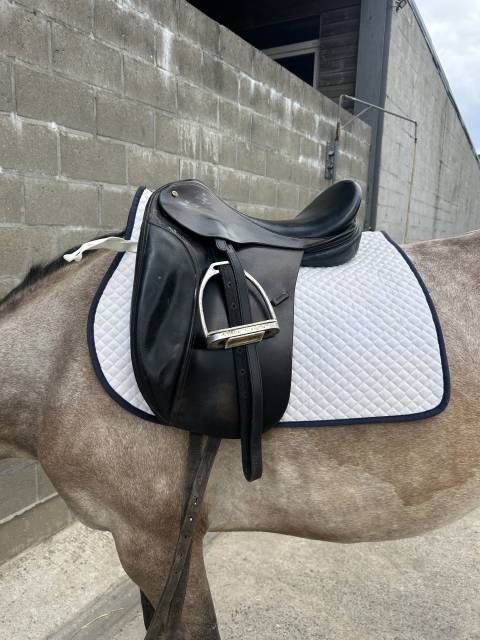 Sella da dressage   17.5" - 2010
