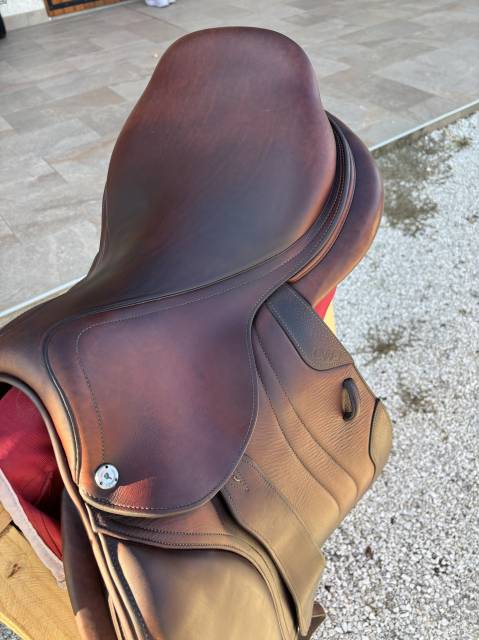 Sella da salto ostacoli CWD  17.5" - 2021