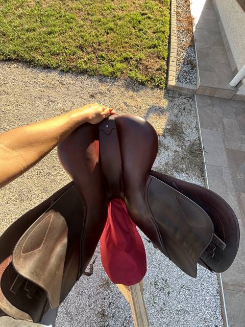 Sella da salto ostacoli CWD  17.5" - 2021