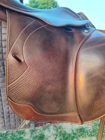 Sella da salto ostacoli Prestige Italia  17" - 2014