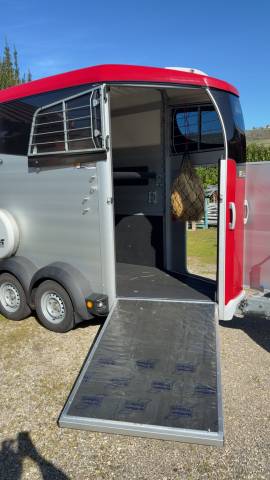 Trailer Ifor Williams HBX 403 1,5 Cavalli 2024 Occasione