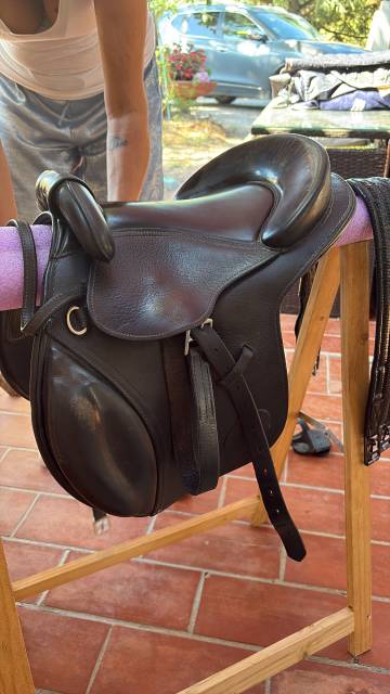 Bareback   14" - 2021