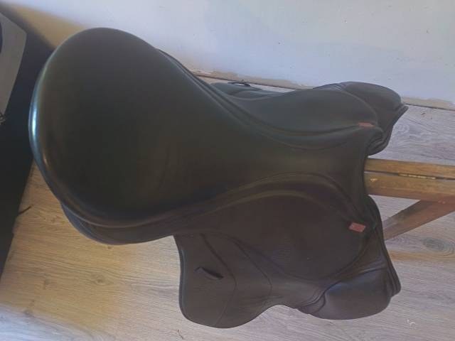 Sella mista GFS  17" - 2022