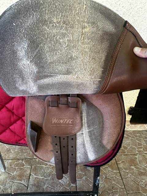 Sella mista Wintec  17" - 2011