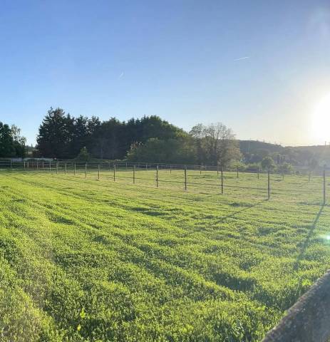 Propriet&agrave; equestre In vendita Essonne