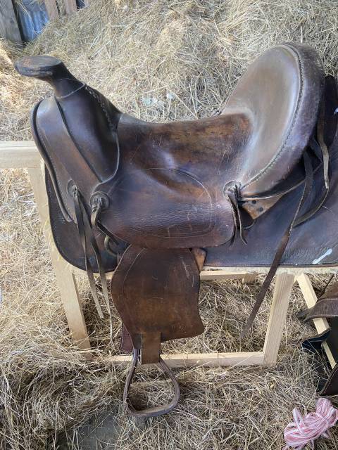 Sella western   17" - 2016