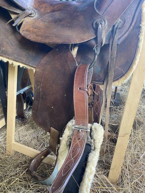 Sella western   17" - 2016