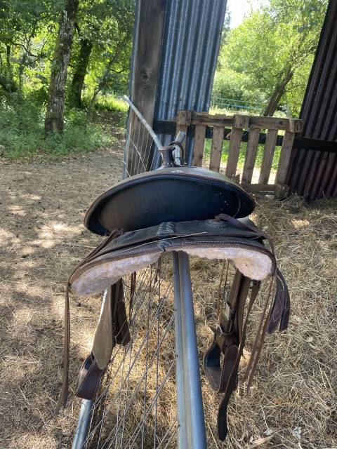 Sella western   18" - 2020