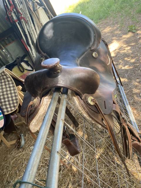 Sella western   18" - 2020