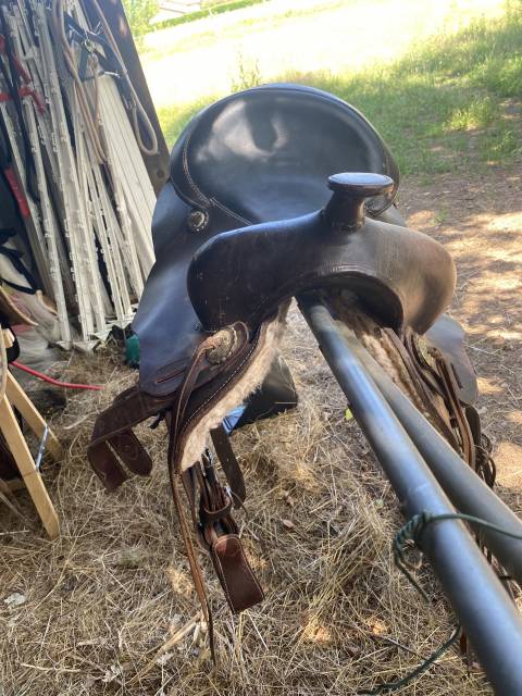 Sella western   18" - 2020