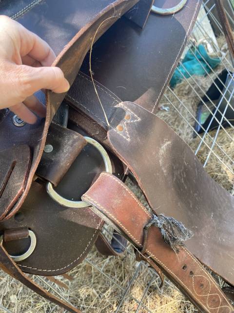 Sella western   18" - 2020
