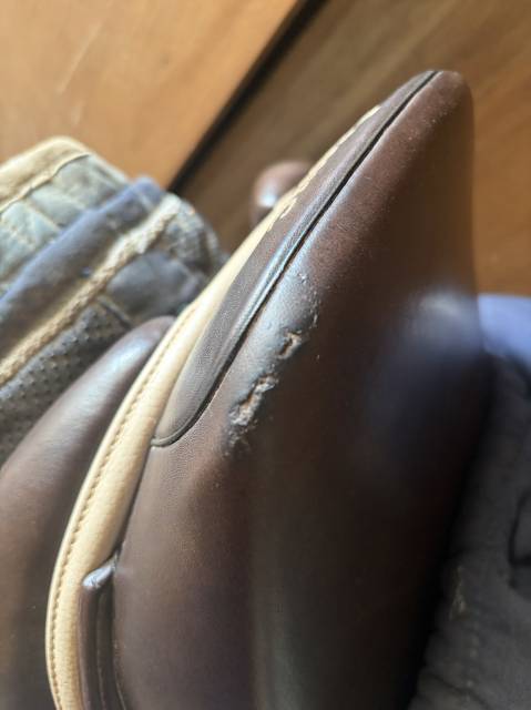 Sella da salto ostacoli Ikonic  16.5" - 2022