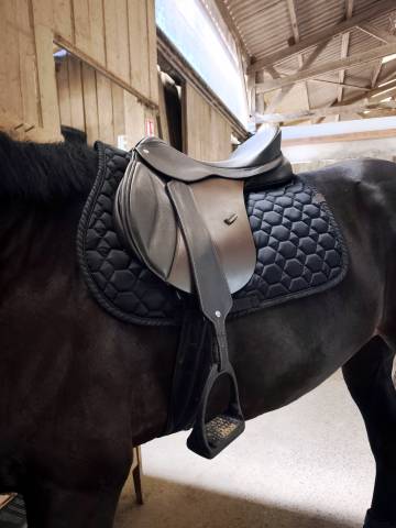 Sella mista Thorowgood  T9 Original  17.5" - 2026