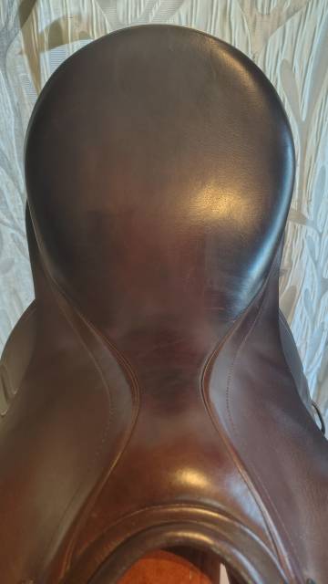 Sella da salto ostacoli Prestige Italia  17" - 2017