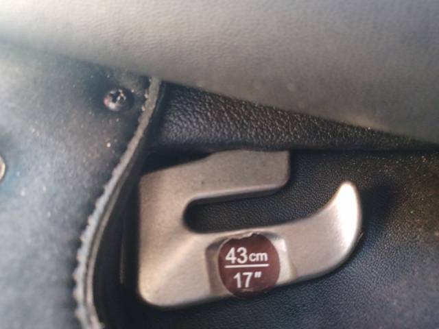 Sella mista Wintec  17" - 2024