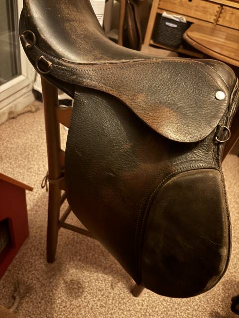Bareback  Bardette 15" - 2015