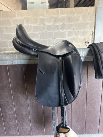 Sella da dressage Prestige Italia  18" - 2025