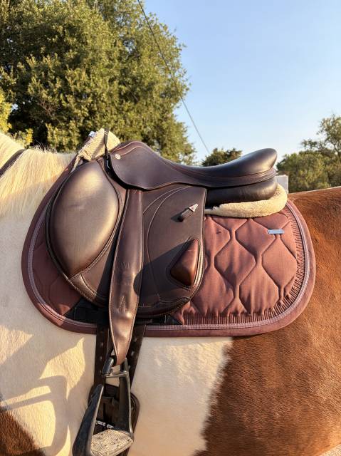 Sella mista Equipe  17.5" - 2025