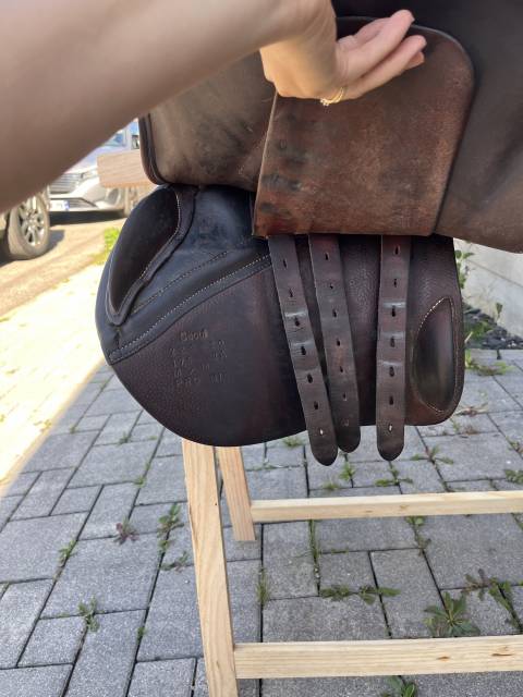 Sella mista Forestier  17.5" - 2022