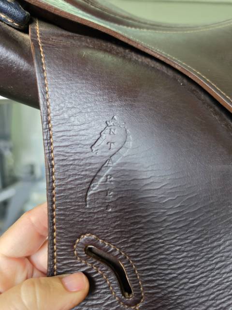 Sella mista Antar&egrave;s  17.5" - 2019