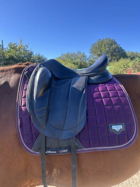Sella da dressage Forestier  17.5" - 2021