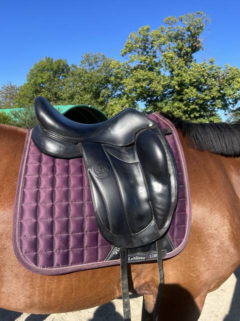 Sella da dressage Forestier  17.5" - 2021