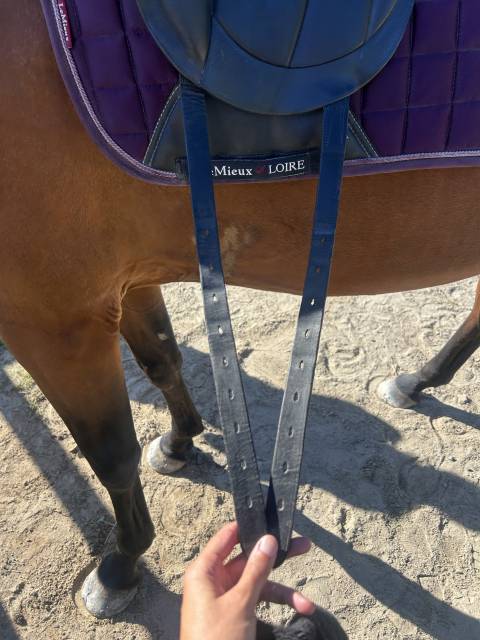 Sella da dressage Forestier  17.5" - 2021