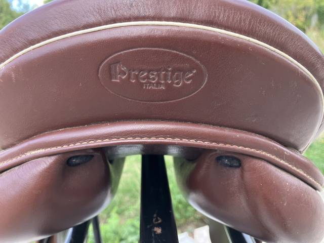 Sella mista Prestige Italia Golden Star 17" - 2020