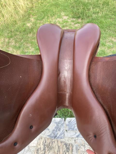Sella mista Prestige Italia Golden Star 17" - 2020