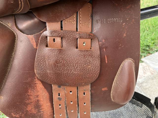 Sella mista Prestige Italia Golden Star 17" - 2020