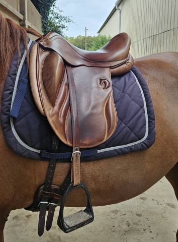 Sella da dressage Darroze GT dressage  17" - 2023