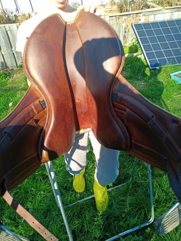 Sella da endurance Gaston Mercier Dune 17" - 2019