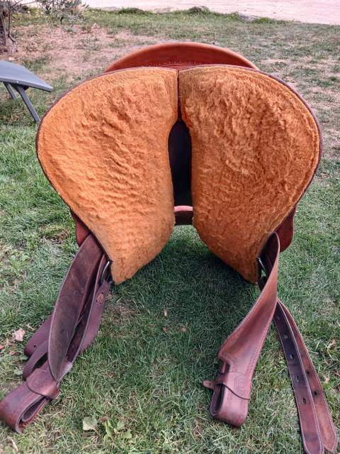 Sella western Continental Equiflex  16" - 2015