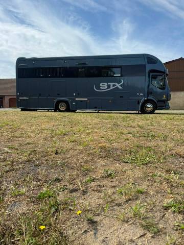 Camion per Cavalli STX volvo fl 2016 Nuovo