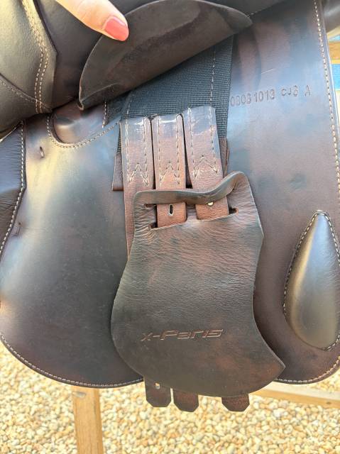 Sella da salto ostacoli Prestige Italia  17.5" - 2013
