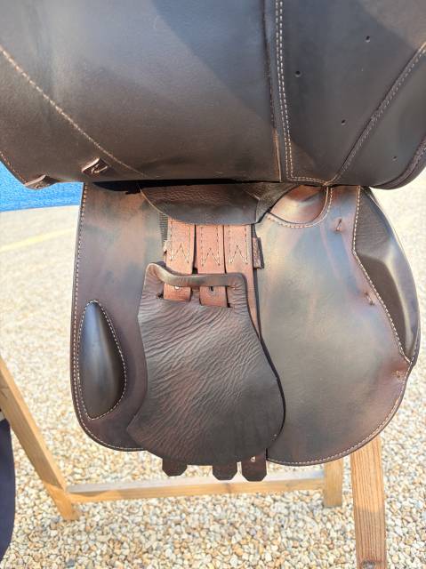 Sella da salto ostacoli Prestige Italia  17.5" - 2013