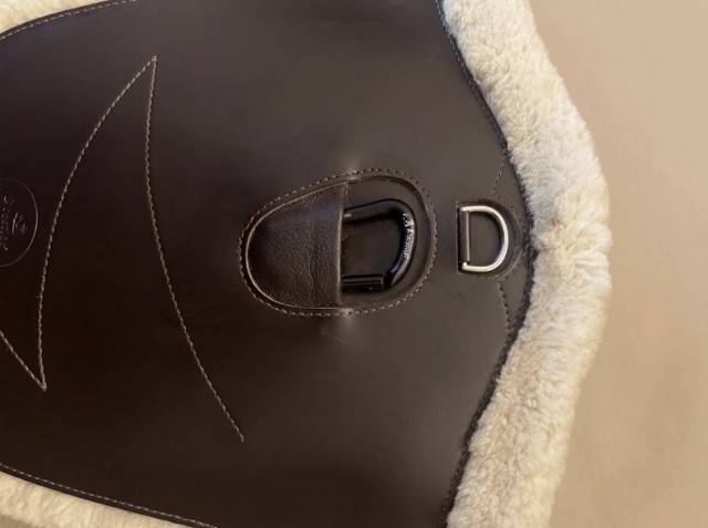  Prestige Italia Occasione