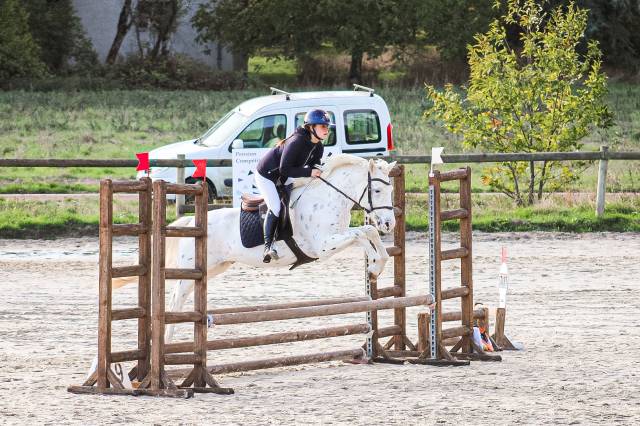 Castrone Connemara In vendita 2022 Appaloosa