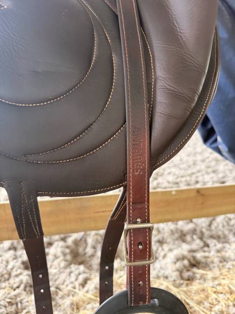 Sella da dressage Antar&egrave;s  16.5" - 2025