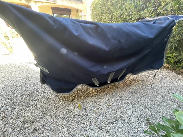  Horseware Occasione