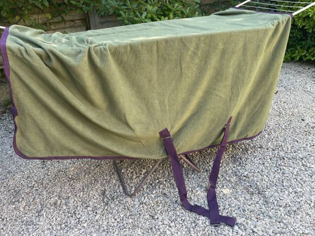  Horseware Occasione