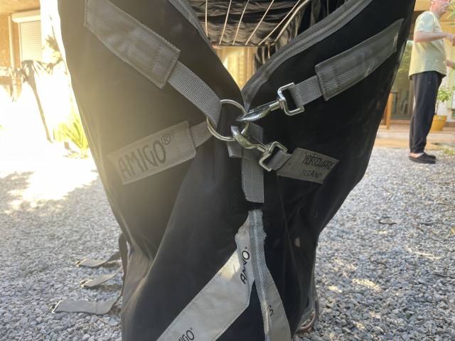  Horseware Occasione