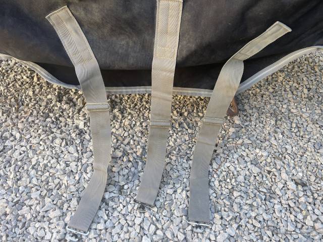  Horseware Occasione